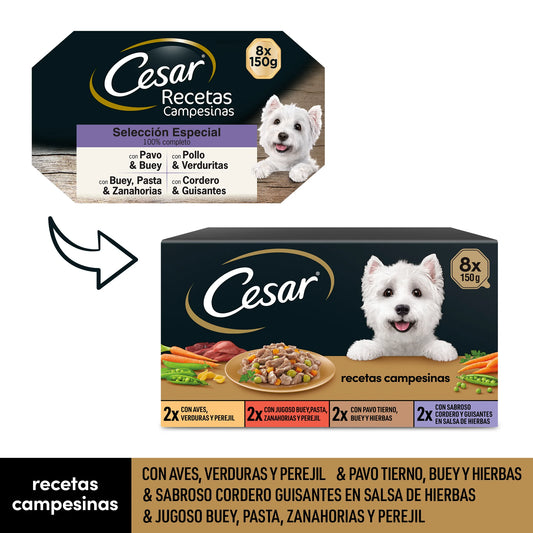 Comida húmeda para perros Cesar, selección de recetas campesinas en salsa, Multipack (Pack de 3x8 tarrinas x 150g)
