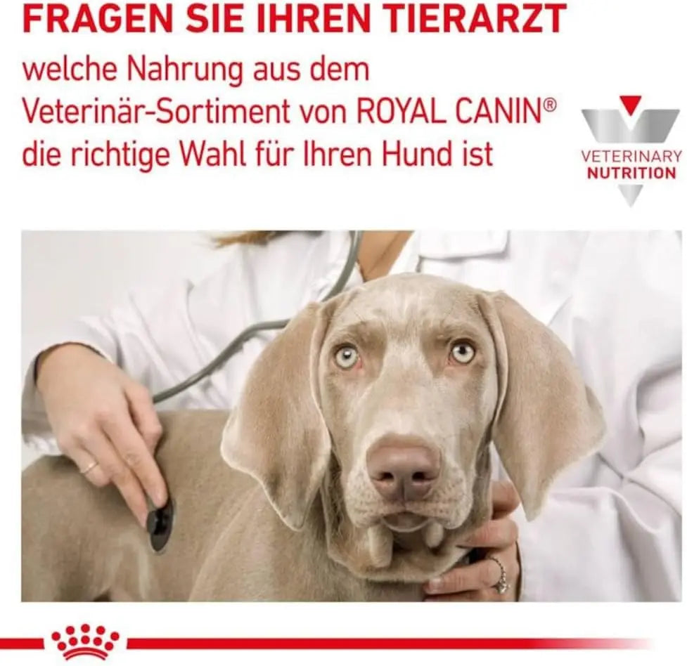 Alimento para perros con riñón Royal Canin 2 kg