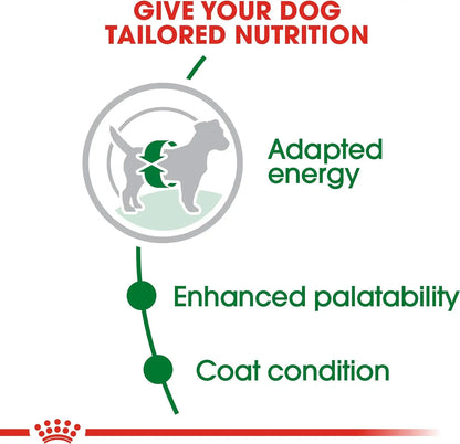 Alimento para perros Royal Canin Adult Mini 4 kg Logrado Activo