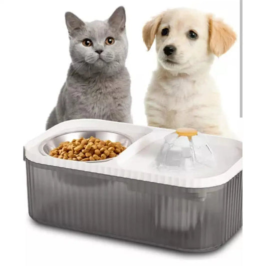 Comedero automático para gatos de 3 l, silencioso y ergonómico.