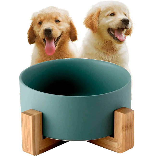 Comedero para perros Edipets con base de bambú simple de cerámica para gatos