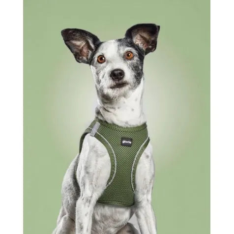 Arnés Glory Air Mesh Trek Star para perros, color verde, talla XXS
