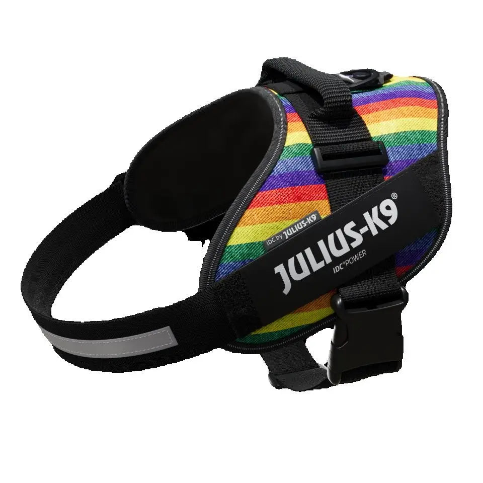 Julius-K9 IDC POWER dog harness new colors ergonomic and sporty harness easy to put