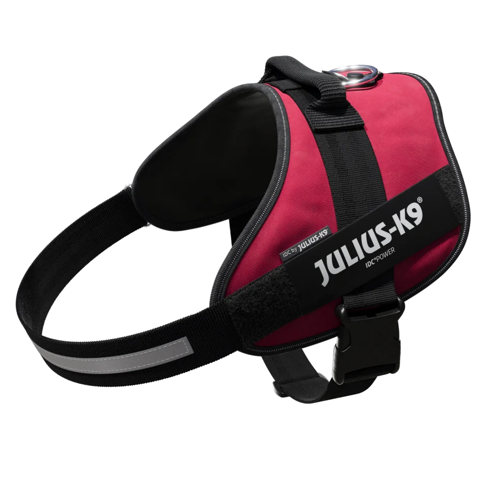 Julius-K9 IDC POWER dog harness new colors ergonomic and sporty harness easy to put