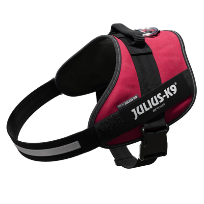 Julius-K9 IDC POWER dog harness new colors ergonomic and sporty harness easy to put