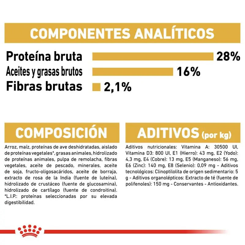 Royal Canin Chihuahua Adult 3Kg Alimento para perros adultos