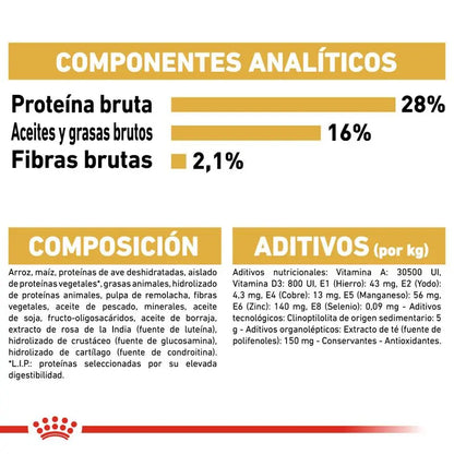 Royal Canin Chihuahua Adult 3Kg Alimento para perros adultos
