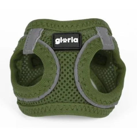 Arnés Glory Air Mesh Trek Star para perros, color verde, talla XXS