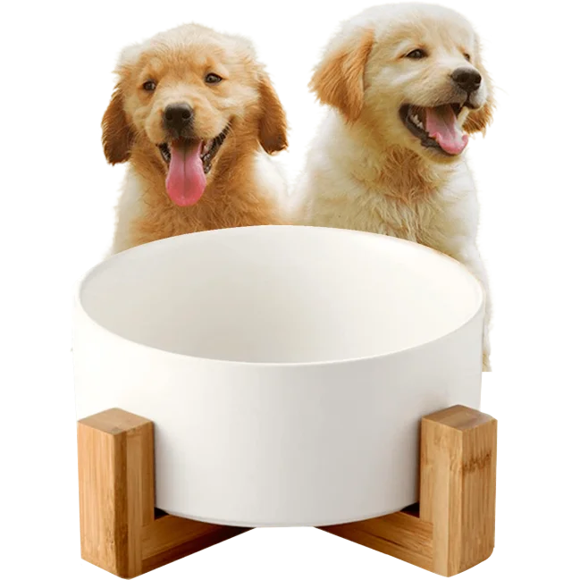 Comedero para perros Edipets con base de bambú simple de cerámica para gatos