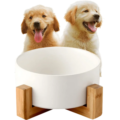 Comedero para perros Edipets con base de bambú simple de cerámica para gatos