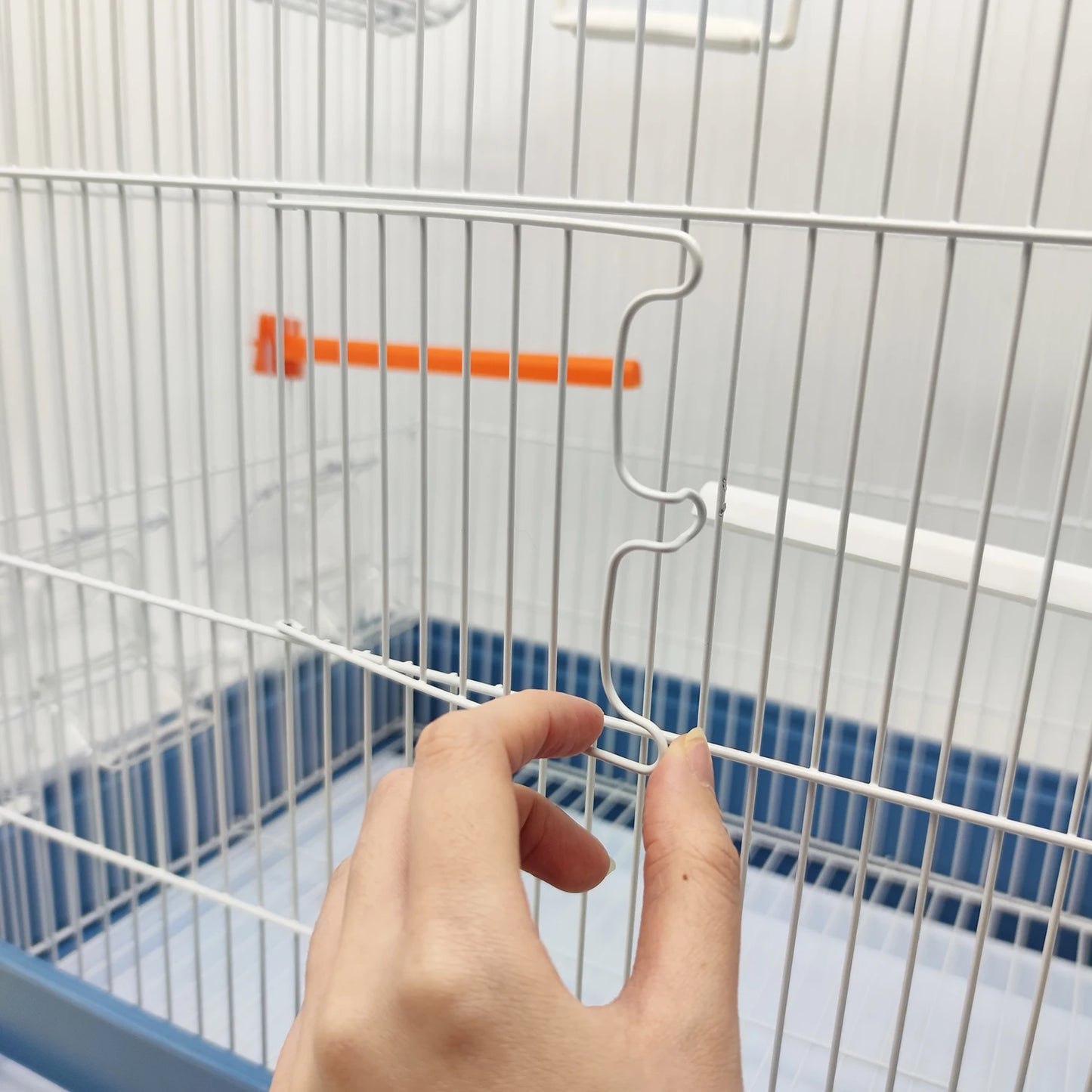 Jaula para aves BPS-1211 – Para canarios, periquitos y otras aves pequeñas, incluye bebedero, comedero y percha de descanso – Color aleatorio