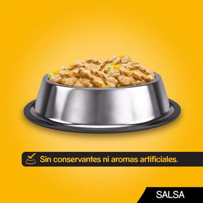 Comida húmeda para perros Pedigree sabores mixtos en salsa, paquete múltiple (paquete de 4 x 12 bolsas x 100 g) + regalo Dentastix para perros pequeños