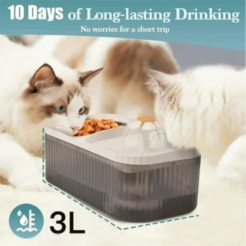 Comedero automático para gatos de 3 l, silencioso y ergonómico.