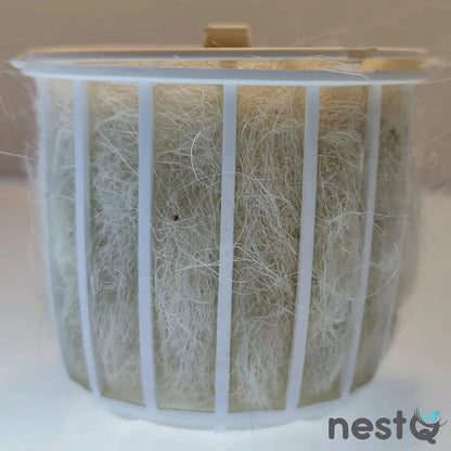 Wood nest for Exoticos nestQ diamonds Gould 20 cm (length) x 13 cm x 13 cm (base) x 16 (height) with Material peeling and goat hair filler holder, mandarins, bib Tricolor isabelite Japan