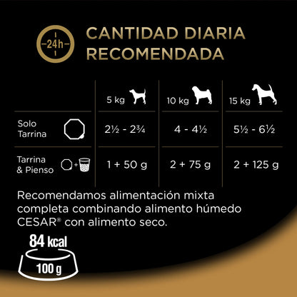 Comida húmeda para perros Cesar, selección de recetas campesinas en salsa, Multipack (Pack de 3x8 tarrinas x 150g)