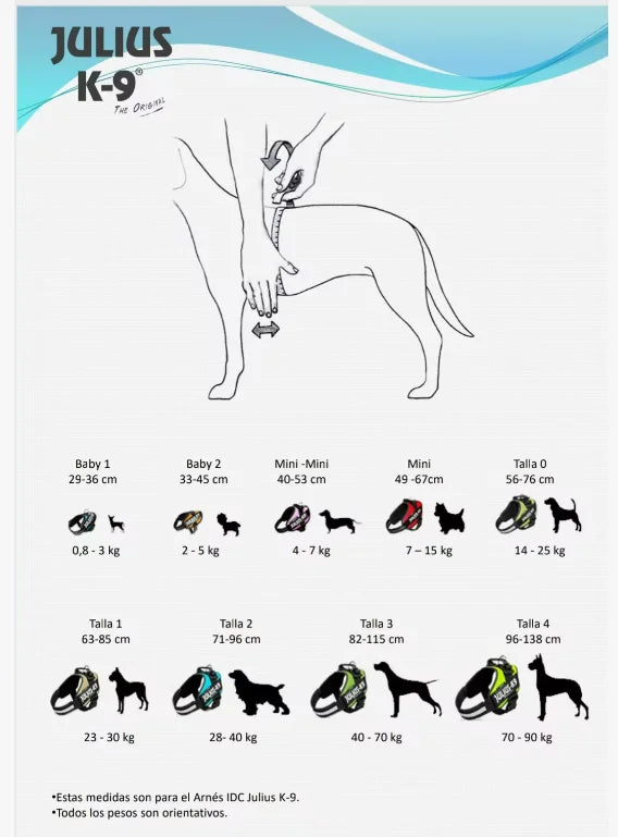 Julius-K9 IDC POWER dog harness new colors ergonomic and sporty harness easy to put
