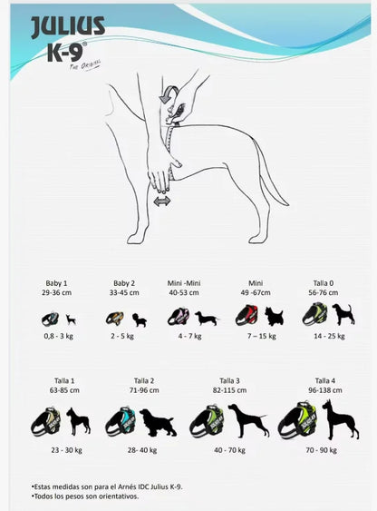 Julius-K9 IDC POWER dog harness new colors ergonomic and sporty harness easy to put
