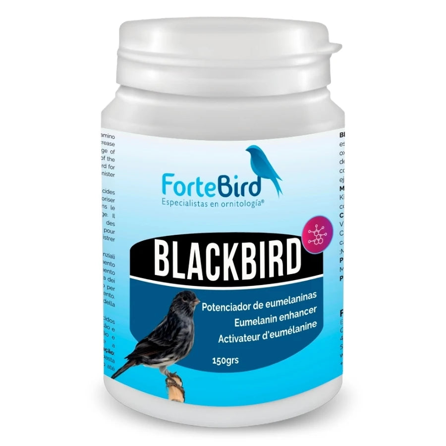Blackbird 150 g – Potenciador de Eumelanina para Canarios Negros | Fortebird