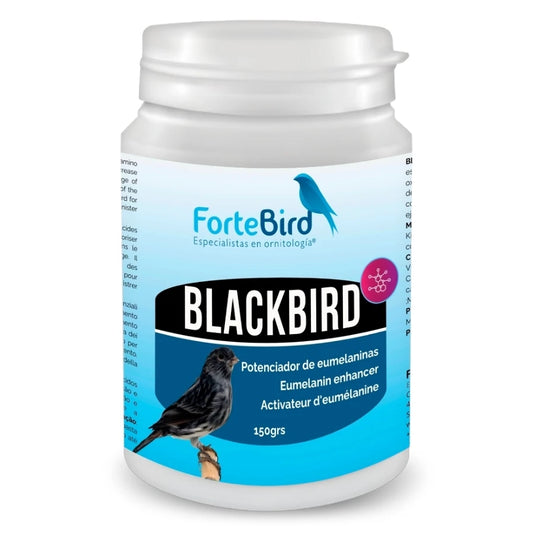 Blackbird 150 g – Potenciador de Eumelanina para Canarios Negros | Fortebird