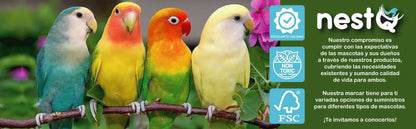 Nido de Madera NestQ para Agapornis y Periquitos Grandes – Con Anillas 2024 y Chip para Cama