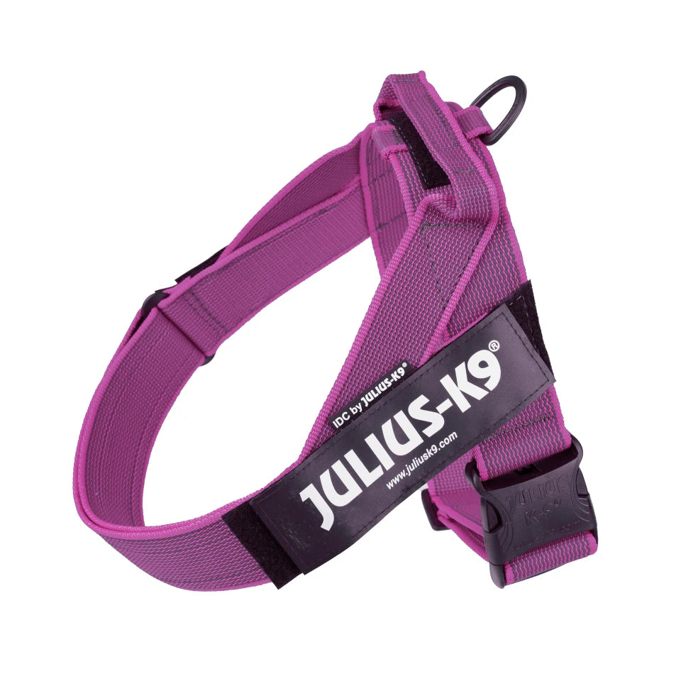 Leash for dogs Julius K9 IDC tape, harness for pets, harnels resistant, ergonomic harness, Platz K9