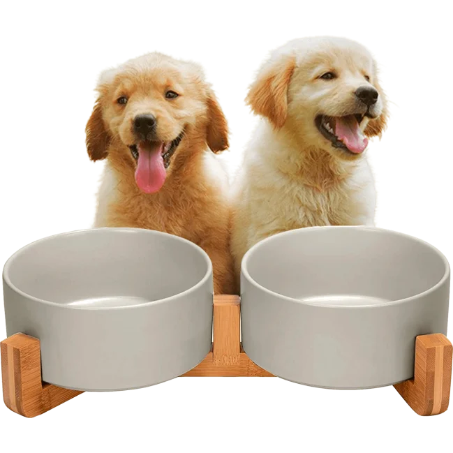 Edipets Comedero Doble Cerámico para Perros con Base de Bambú Logrado