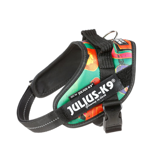 Julius-K9 IDC POWER dog harness new colors ergonomic and sporty harness easy to put