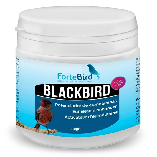 BlackBird 300 gr eumelanins enhancer (Black Canary oxidation) Fortebird