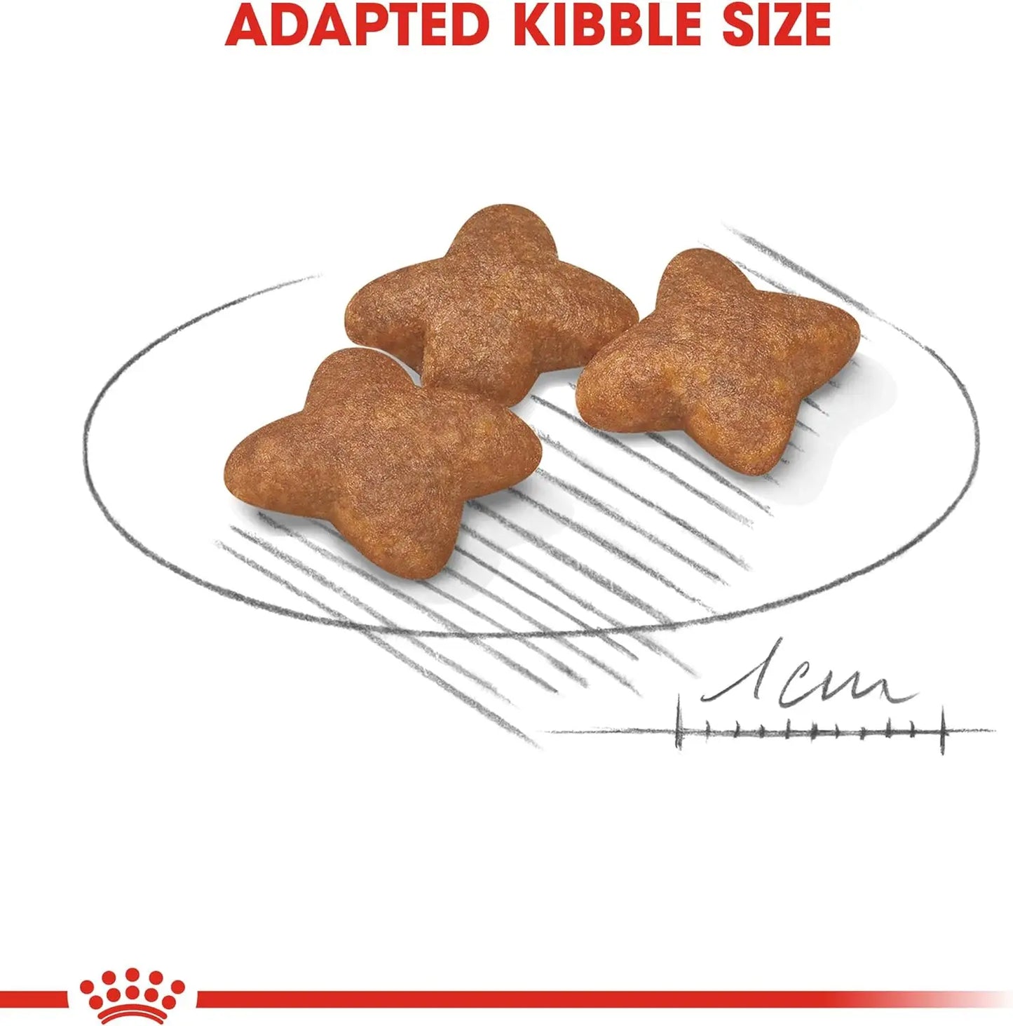 Alimento para perros Royal Canin Adult Mini 4 kg Logrado Activo