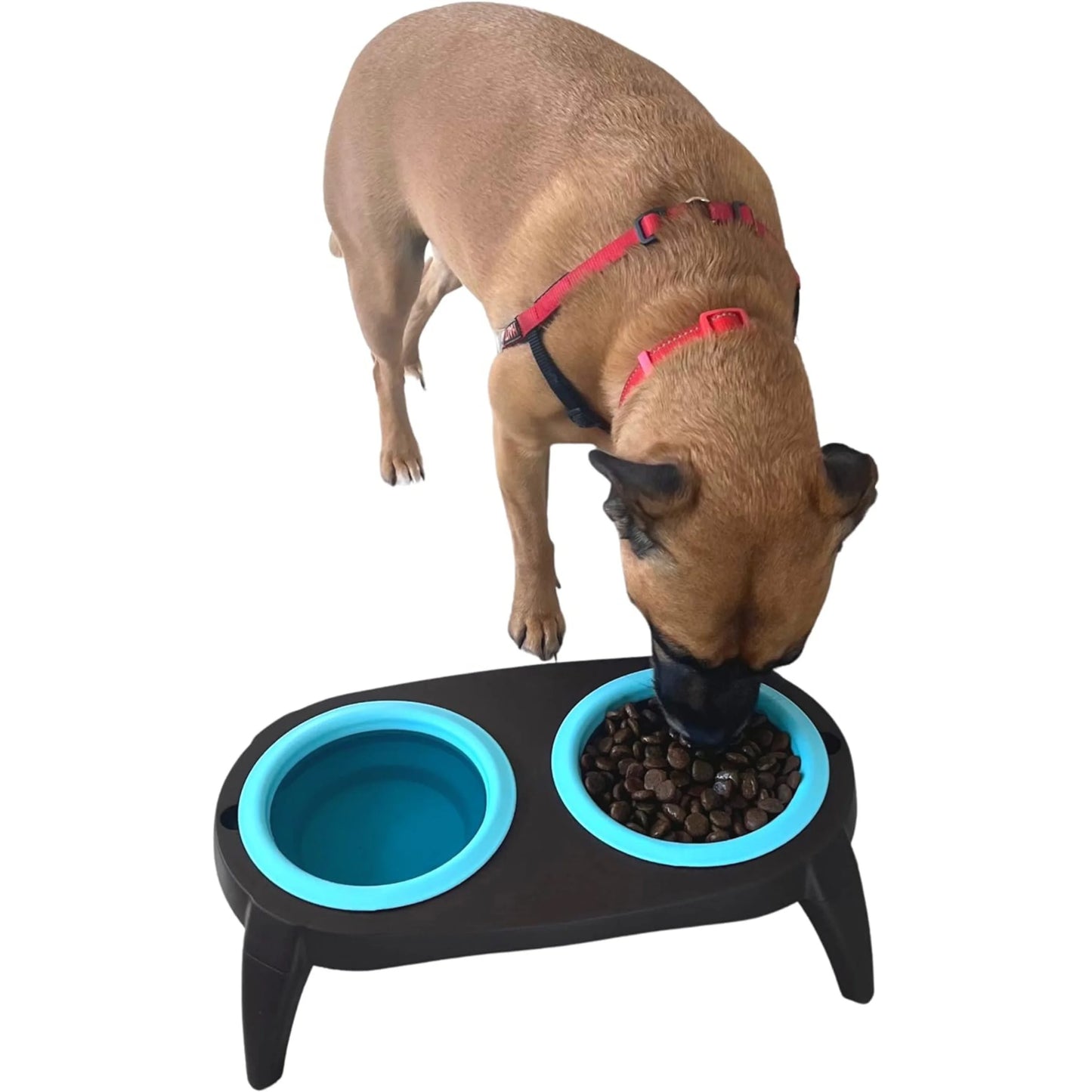 The attic PETS feeder raised dog with anti-splash drinker dog. Removable anti-voracity dog feeder