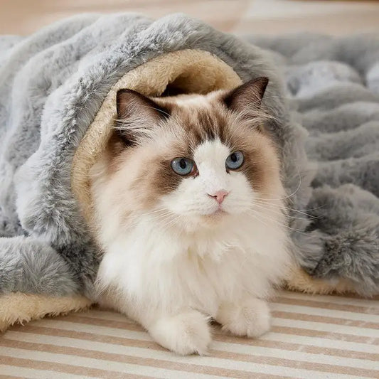 sofá para mascotas, camas de invierno para gatos