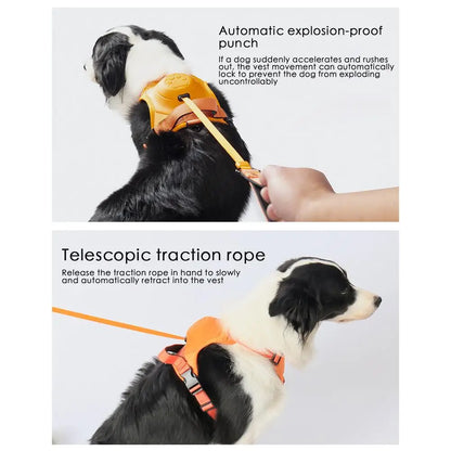 🐶 Arnés para Perros Grandes – Comodidad, Seguridad y Resistencia para el Día a Día