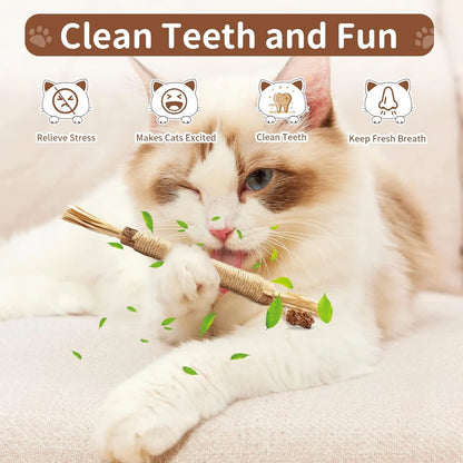 Emocionante juego de juguetes masticables Matatabi Silvervine de alta calidad para gatos de interior: palitos masticables naturales ideales para la limpieza dental.