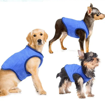 Chaleco transpirable para perros, de secado rápido, cómodo y agradable para la piel, ropa de moda para mascotas para exteriores.