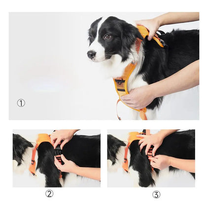 🐶 Arnés para Perros Grandes – Comodidad, Seguridad y Resistencia para el Día a Día