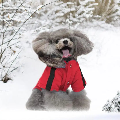 Chaqueta con capucha para perros y gatos, ropa para mascotas, ropa abrigada para perros pequeños, abrigo grueso y acolchado de invierno, chaleco, ropa para perros