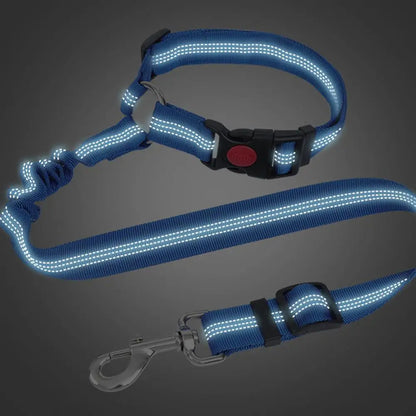 Reposacabezas para perro, cinturón de seguridad para coche, correa de tracción para caminar, correa de entrenamiento para perros de tela de poliéster para perros pequeños y grandes