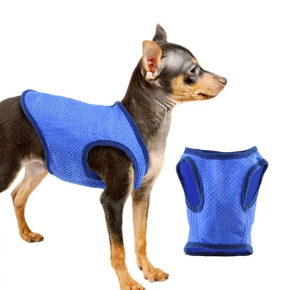 Chaleco transpirable para perros, de secado rápido, cómodo y agradable para la piel, ropa de moda para mascotas para exteriores.