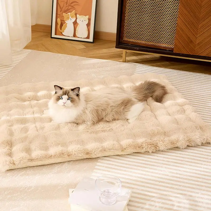 sofá para mascotas, camas de invierno para gatos