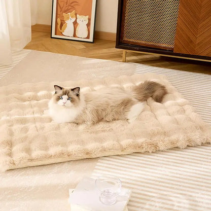 sofá para mascotas, camas de invierno para gatos