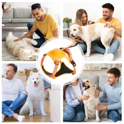 🐶 Arnés para Perros Grandes – Comodidad, Seguridad y Resistencia para el Día a Día
