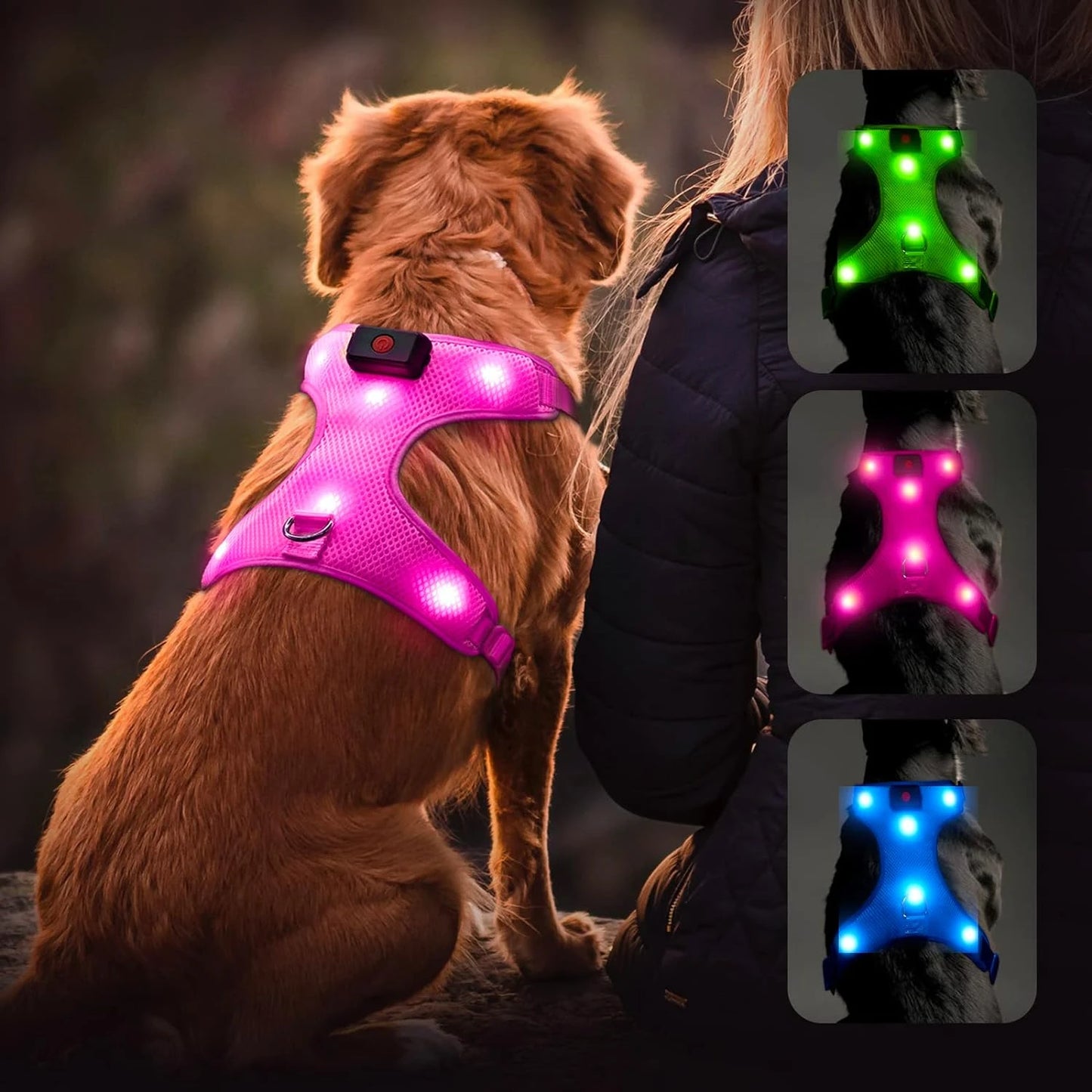 Arnés para perros con luz LED azul reflectante y brillante