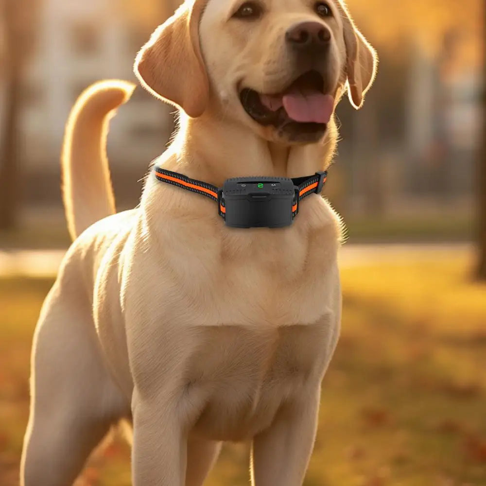 Electronic Pet Training Collar Dog Shock Collars With Multiple Training Modes E Collar Bark Training Collar For All Breeds