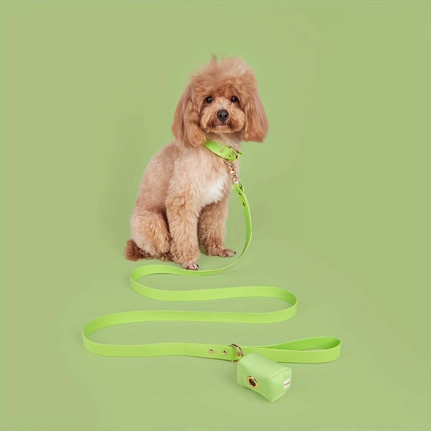 Correa y collar impermeables para perros - Envoltura de PVC, ajustable, fácil de limpiar - Perros pequeños, medianos y grandes