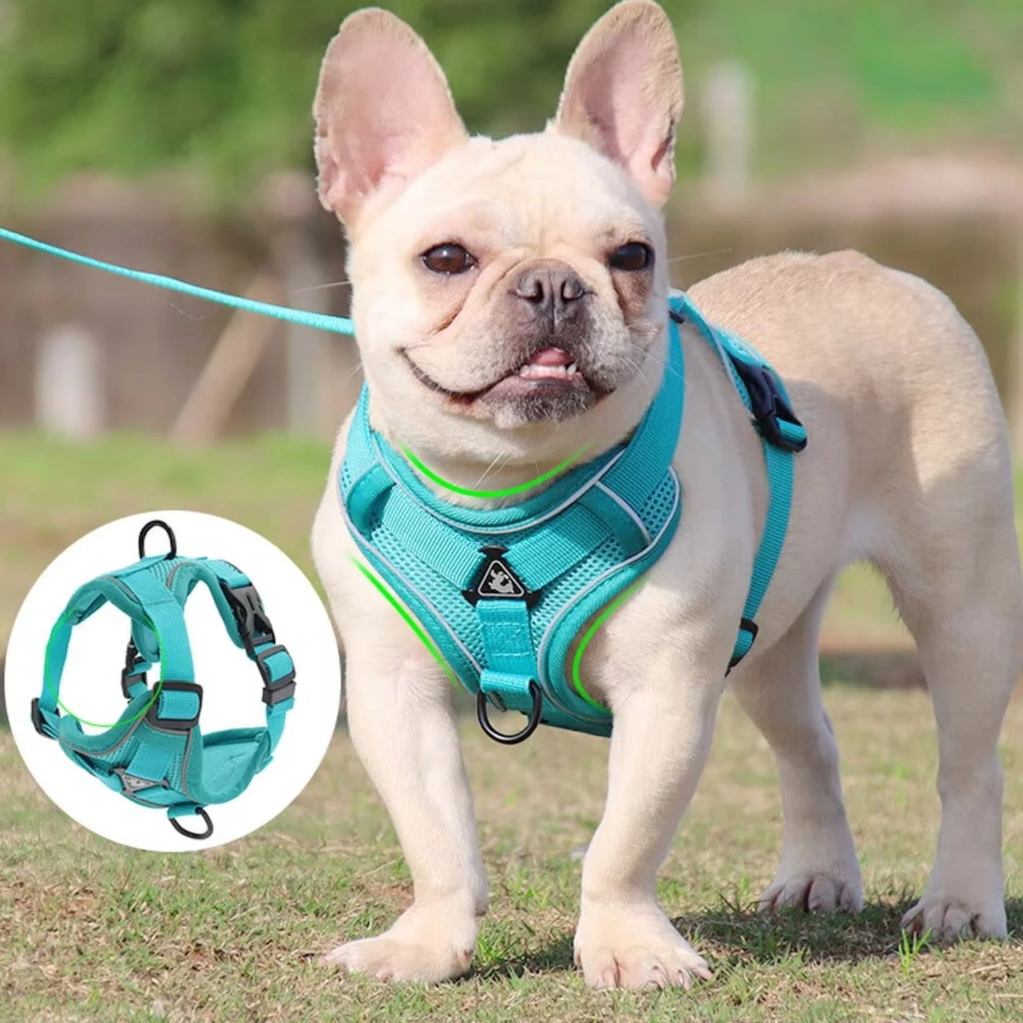 Arnés de tiro para perros, chaleco reflectante ajustable de colores únicos, con asa de entrenamiento suave, clips de plástico, tamaño pequeño, mediano y grande.