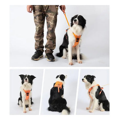 🐶 Arnés para Perros Grandes – Comodidad, Seguridad y Resistencia para el Día a Día