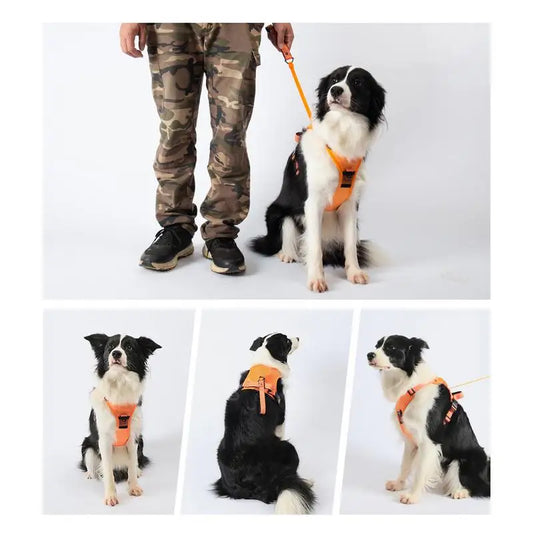 🐶 Arnés para Perros Grandes – Comodidad, Seguridad y Resistencia para el Día a Día