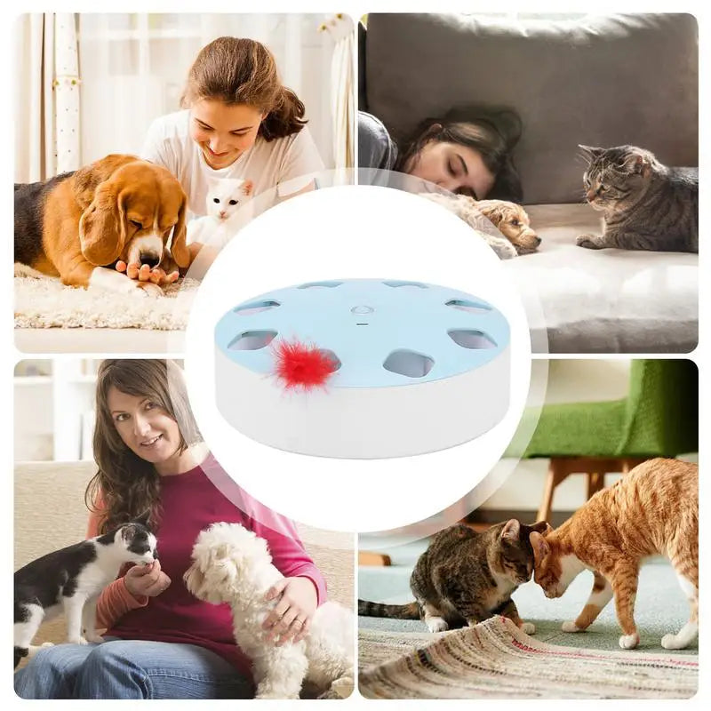 Juguete de plumas para gatos, juguete automático para golpear gatos, juguetes interactivos recargables con 7 agujeros, juguetes para gatitos, juegos para gatos, juguete de plumas