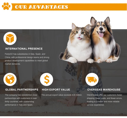 3m 5m Nylon Automatic Dog Leash Retractable Durable Cat Lead Extending Puppy Walking Running Traction Roulette for Small Dogs