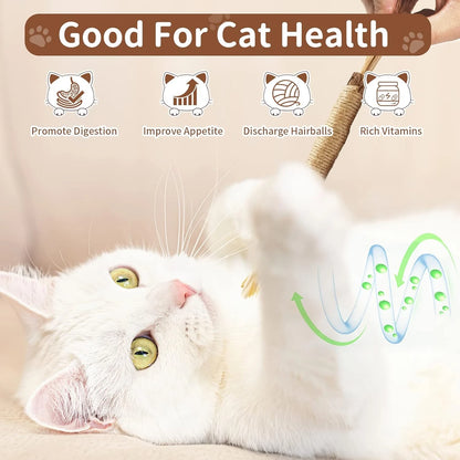 Emocionante juego de juguetes masticables Matatabi Silvervine de alta calidad para gatos de interior: palitos masticables naturales ideales para la limpieza dental.